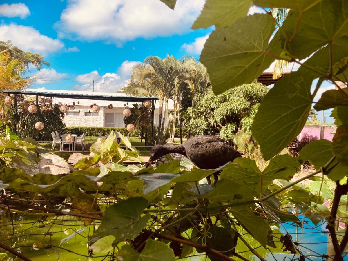 Santa Elena  Villa Cristal المظهر الخارجي الصورة